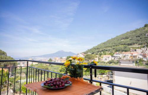 Tenuta Coppola - Foto 42