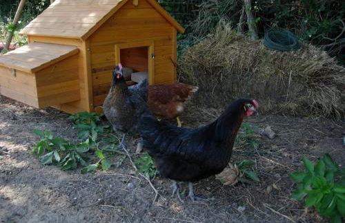 Mas de Karlotte - Photo 6