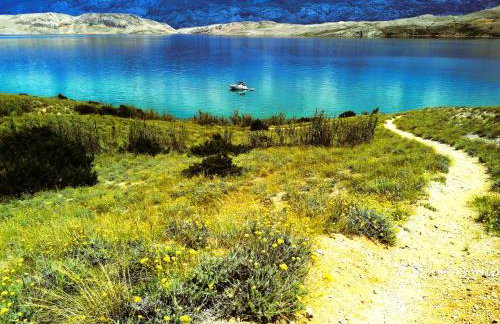 Family apartments K&M - Photo 40