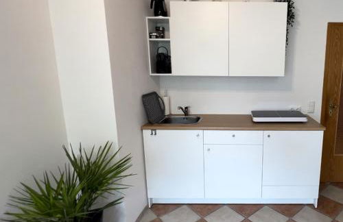 Palmen Apartment direkt in Bad Aibling - Foto 10