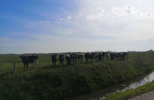 Holiday home with 2 bedrooms - Photo 13