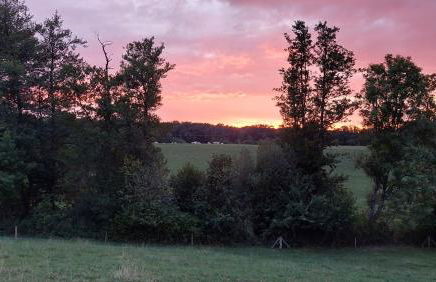 Gutshof Ferienwohnung in Seenähe - Foto 37