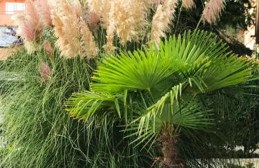 Apartments House Barbara - Foto 12