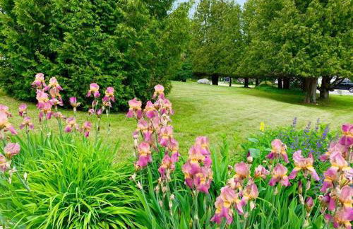 Carraig Beag Cottage - Foto 2