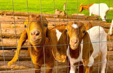 Hospedagem Zilz - Foto 36