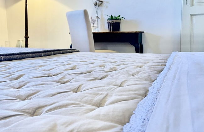 Vento Dorcia - Foto 16