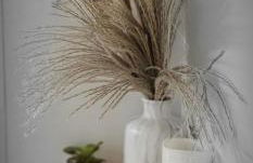 Le Petit Erable - Foto 4