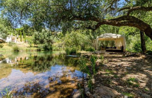 Casa Cisne - Selão da Eira - Foto 26