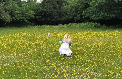 Rabbits ,2 bedroom Hobbit style Dartmoor edge eco home - Foto 15