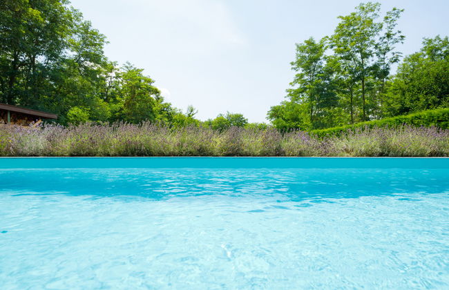 Aschbacher - Foto 33