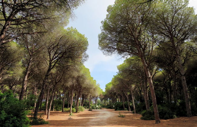 La Tordara - Foto 64