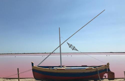 T 3 appart les jardins du phœbus - Foto 15