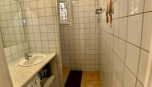 La Chélidoine - Photo 3