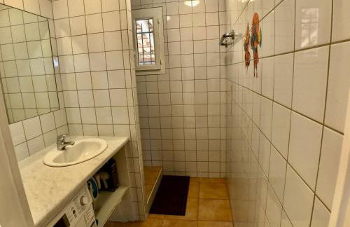 La Chélidoine - Photo 3