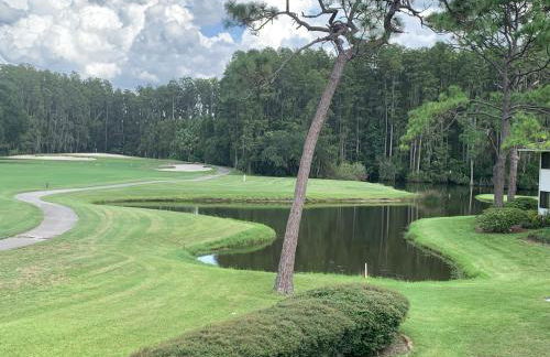 GolfView Executive Suite Near Tampa - Foto 20