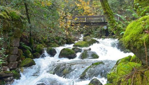 Casas De Bouro 3 Casa Do Alecrim - Foto 3