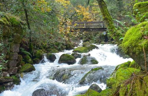 Casas Bouro 1 Casa Das Hortências - Foto 41