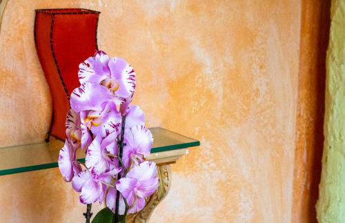 L'isola felice - Photo 21