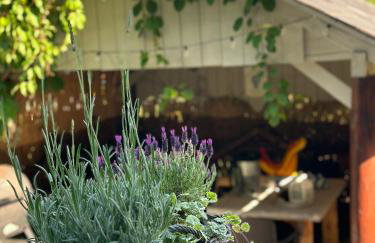 Chata Lawendowa - Foto 18