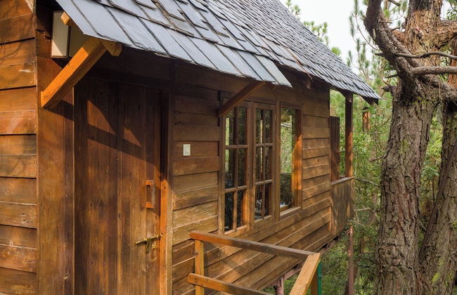 Alaya Stays Suro Woodcrest Chalet - Foto 1