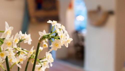 Vivelorural Casita Vintage, Santa Brígida - Foto 2