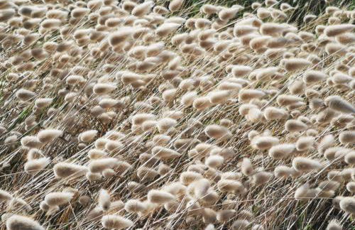 L'Auberge Du Roch - Foto 56