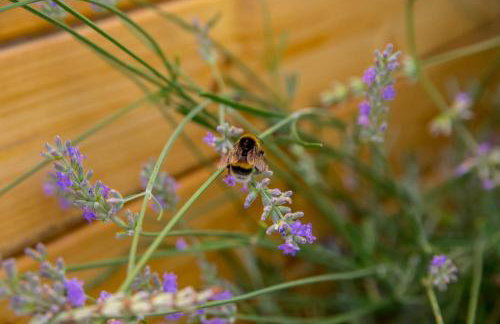 Apartment Li - Foto 21