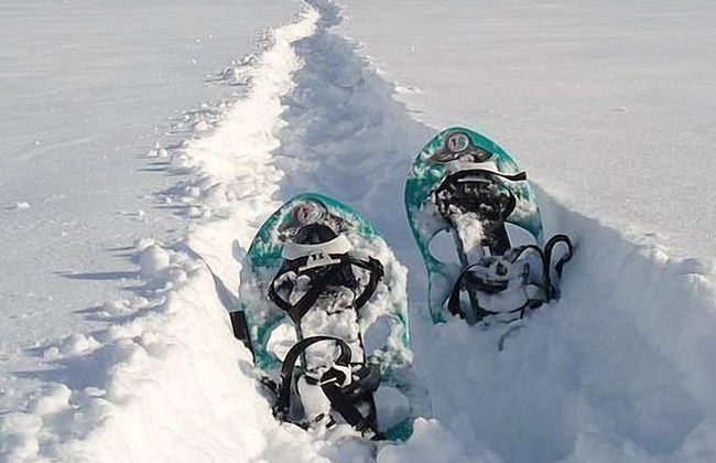 Le Piroulet - Foto 14