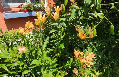 Folwark Malinowy Chruśniak - Foto 58