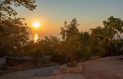 Natura Villas - Photo 37