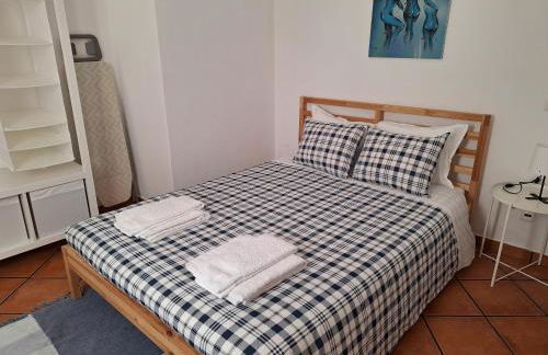 Visconde de Estoi - Foto 11