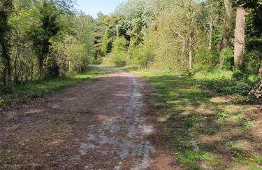 Gite Baie de Somme - Foto 22