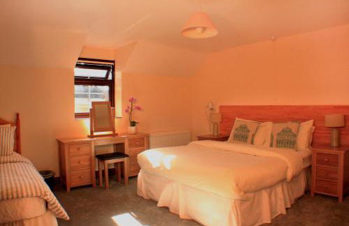 David's Organic Farm Wales - Foto 12