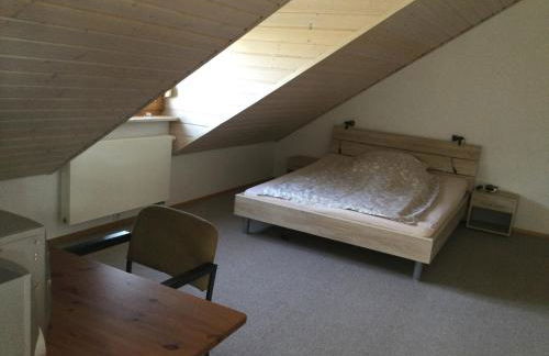 Sonniges Fleckchen - Foto 9