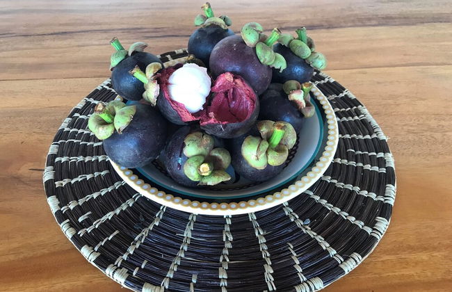 Fazenda Eco Jardim - Foto 33