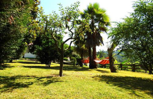 Quinta de S. Vicente 317 - Foto 27