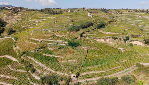 Vina Rhona - Studio de charme tout équipé entre Rhône et Vignobles de Condrieu - Foto 5