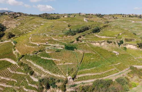 Vina Rhona - Studio de charme tout équipé entre Rhône et Vignobles de Condrieu - Foto 5