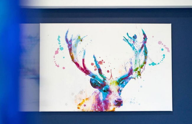 Thatched Cottage - hot tub BBQ and Pool Table - Foto 34