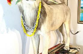 Sleep with a LION! 3 bedroom, near Downtown, Tremont, Ohio city!! - Foto 20