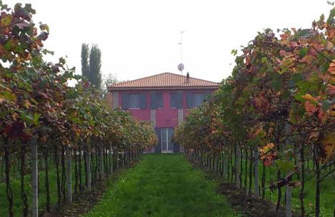 Agriturismo Fondo Gesù - Foto 1