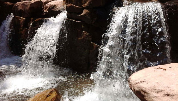 Ugarteche River Basin Day Trip - Foto 4