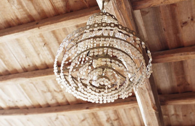 La Grulla Dorada - Foto 39