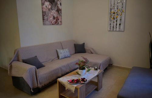 Dolphins House - Foto 14