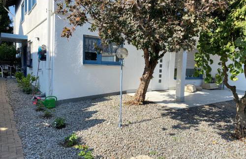 Moderne Wohnung in Mannheim - Foto 5