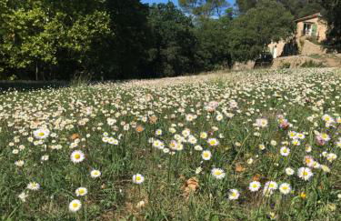 L'Olivier Fleurie Barjols - Foto 46