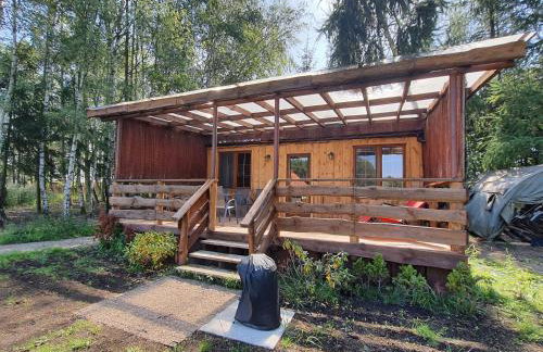 Bukowa Ostoja - Foto 68