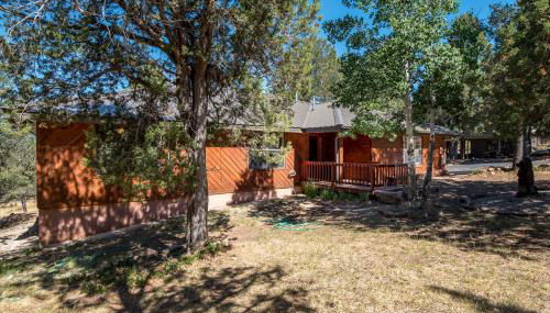 Amazing Place - Photo 2