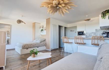 Sable & Pampas - Meublé de Tourisme 5 étoiles - Vue Panoramique & Terrasse - Climatisation - Plage à 200m - Foto 3