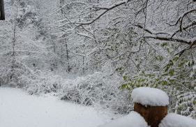 2BR Rustic Villa - Foto 39